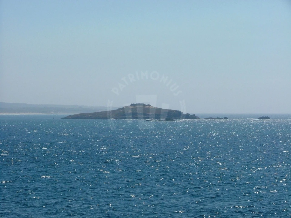 Terreno Agricola ou Rústico para Venda em Santiago do Cacém, Santa Cruz e São Bartolomeu da Serra Foto 21