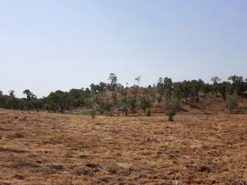 Terreno Agricola ou Rústico para Venda em Santiago do Cacém, Santa Cruz e São Bartolomeu da Serra