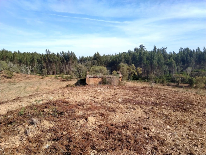 Terreno Agricola ou Rústico para Venda em Santiago do Cacém, Santa Cruz e São Bartolomeu da Serra Foto 1