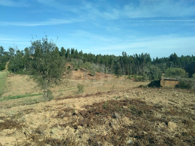 Terreno Agricola ou Rústico para Venda em Santiago do Cacém, Santa Cruz e São Bartolomeu da Serra Foto 2