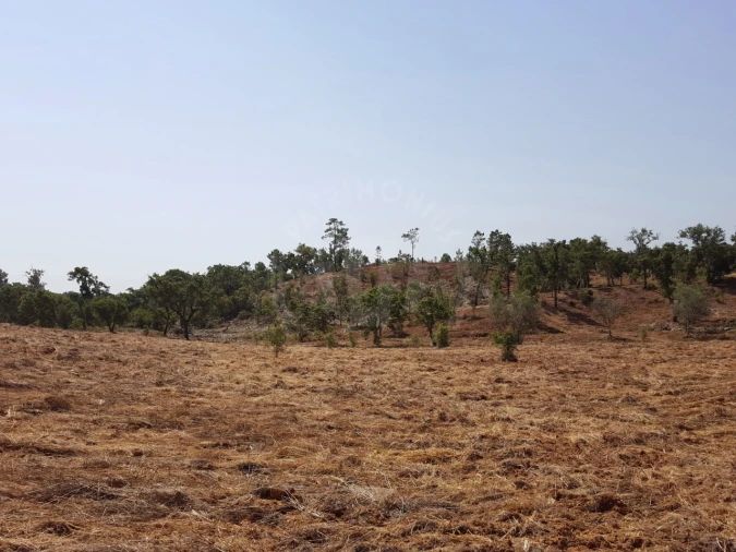 Terreno Agricola ou Rústico para Venda em Santiago do Cacém, Santa Cruz e São Bartolomeu da Serra Foto 8
