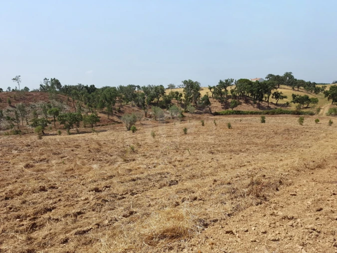 Terreno Agricola ou Rústico para Venda em Santiago do Cacém, Santa Cruz e São Bartolomeu da Serra Foto 9