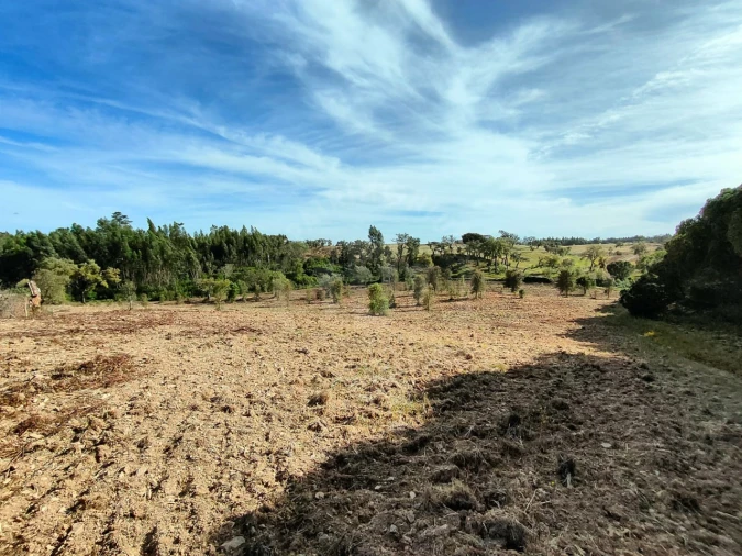 Terreno Agricola ou Rústico para Venda em Santiago do Cacém, Santa Cruz e São Bartolomeu da Serra Foto 11