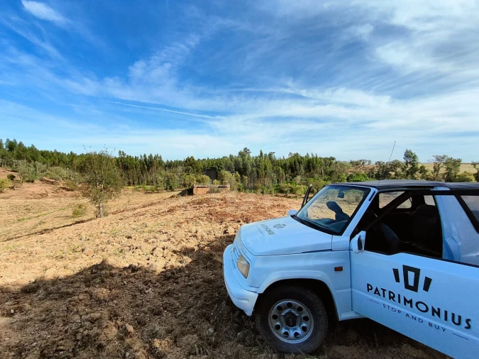Terreno Agricola ou Rústico para Venda em Santiago do Cacém, Santa Cruz e São Bartolomeu da Serra Foto 12