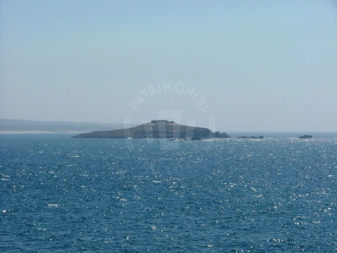 Terreno Agricola ou Rústico para Venda em Santiago do Cacém, Santa Cruz e São Bartolomeu da Serra Foto 21