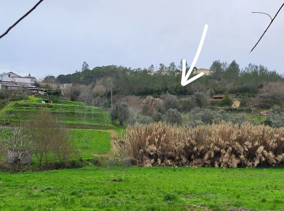 Terreno para Venda em Carregueiros Foto 1