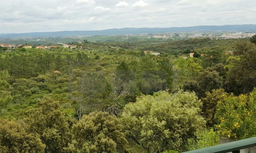 Moradia T3 para Venda em Carregueiros Foto 13