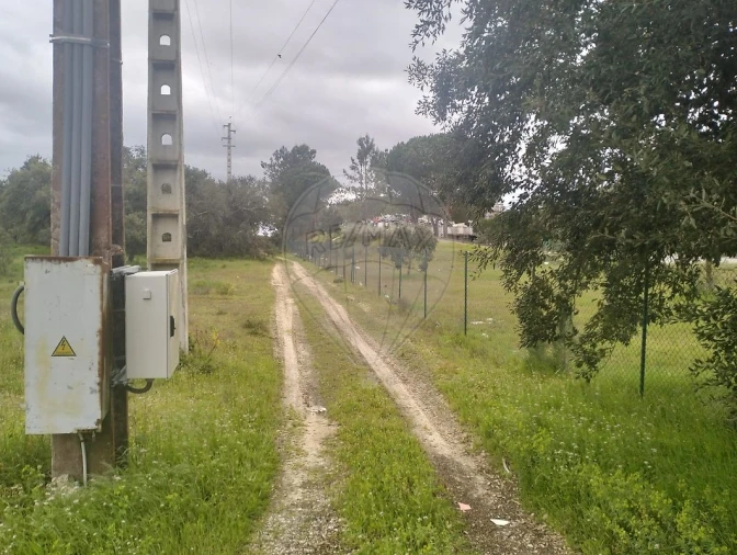 Terreno para Venda em Salvaterra de Magos e Foros de Salvaterra Foto 3