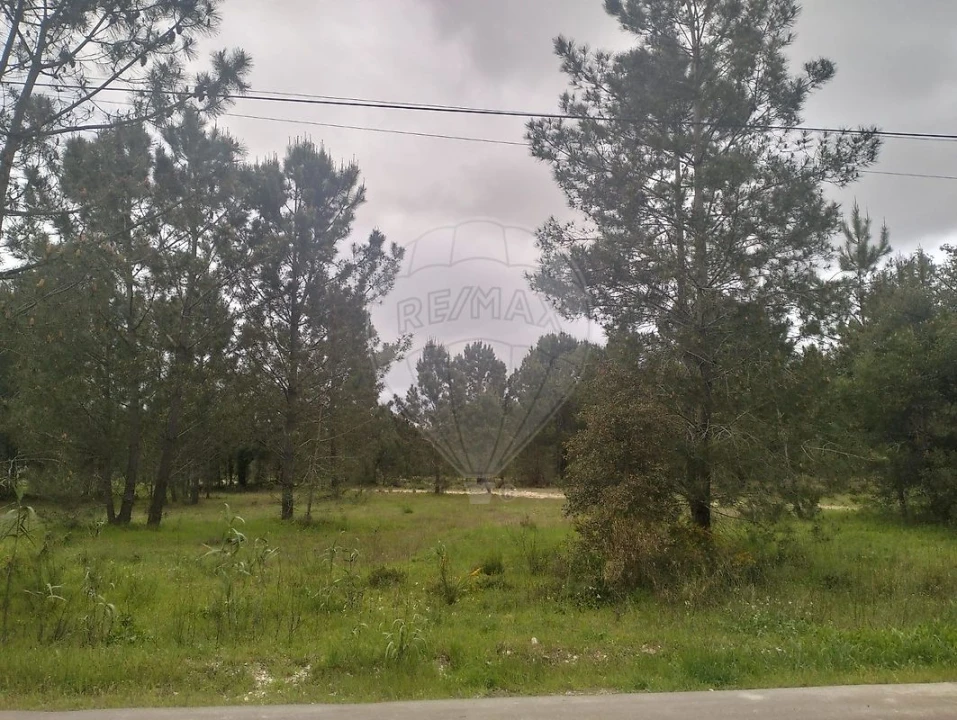 Terreno para Venda em Salvaterra de Magos e Foros de Salvaterra Foto 5
