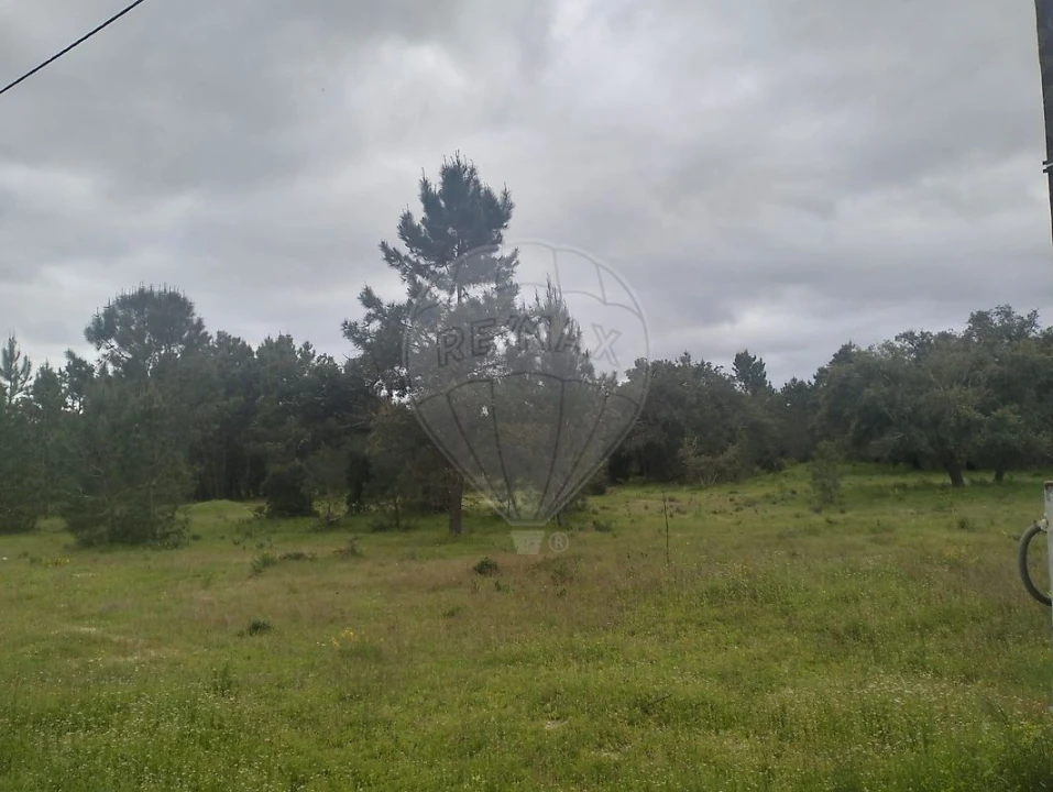 Terreno para Venda em Salvaterra de Magos e Foros de Salvaterra Foto 8