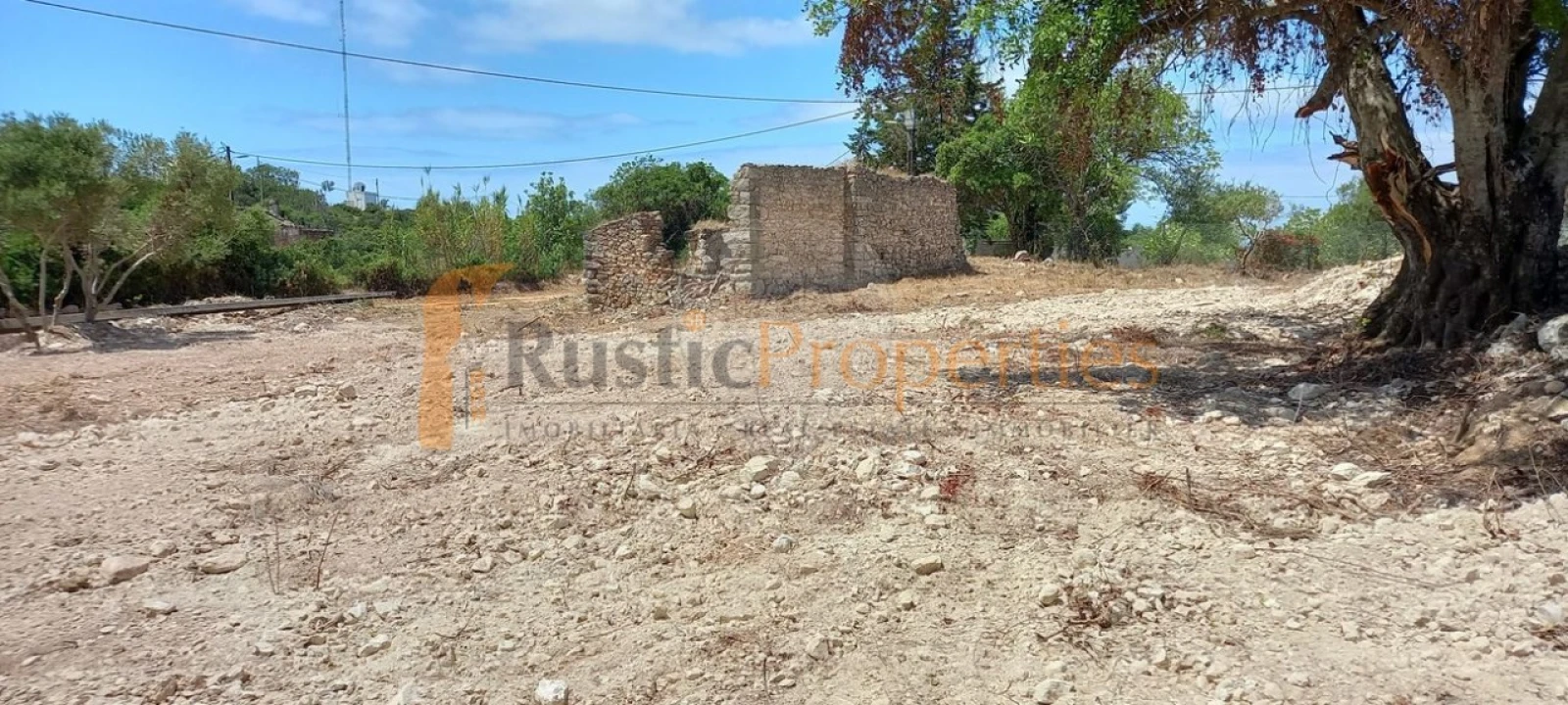 Terreno para Venda em Loule (São Sebastião) Foto 3