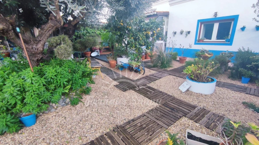 Moradia T3 para Venda em Grândola e Santa Margarida da Serra Foto 21