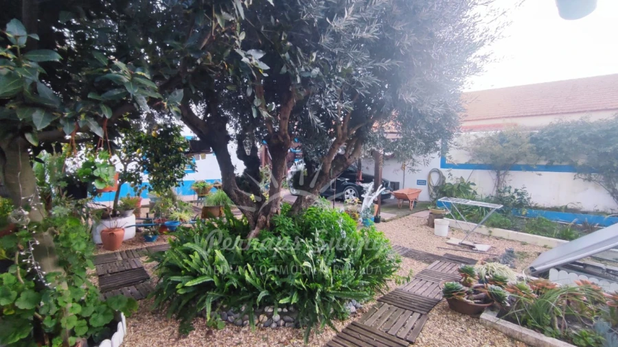 Moradia T3 para Venda em Grândola e Santa Margarida da Serra Foto 27