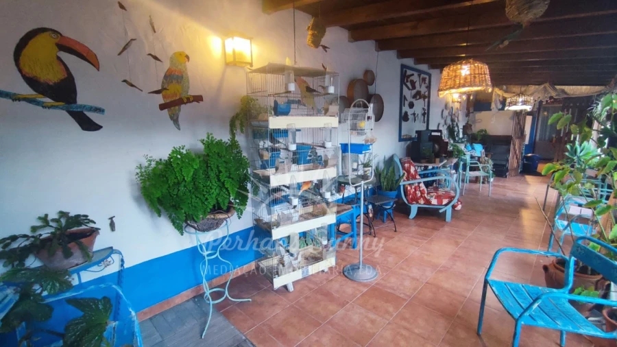 Moradia T3 para Venda em Grândola e Santa Margarida da Serra Foto 12