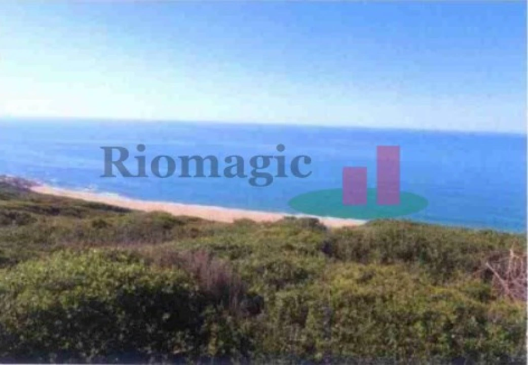 Terreno Agricola ou Rústico para Venda em São Martinho do Porto Foto 1