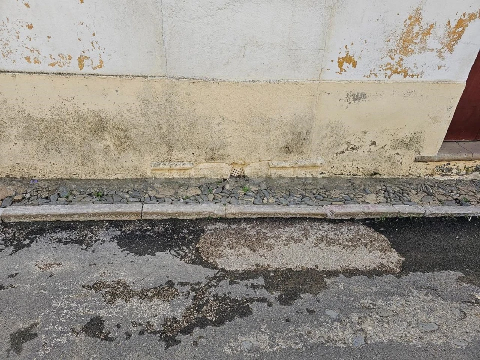 Prédio para Venda em Almodôvar e Graça dos Padrões Foto 36