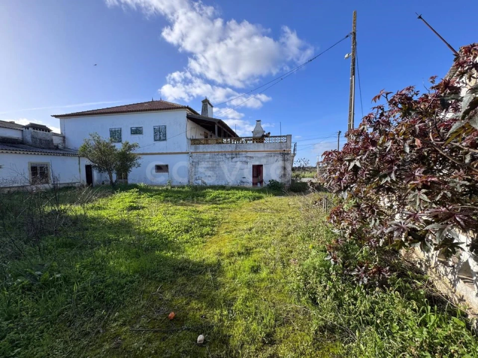 Moradia T3 para Venda em Ferreira do Alentejo e Canhestros Foto 44