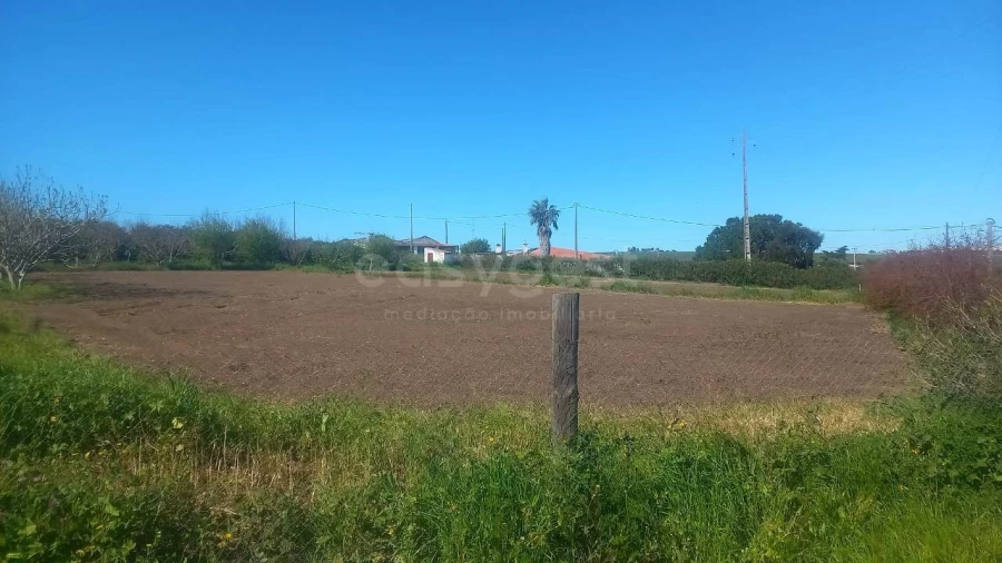 Quinta T2 para Venda em Beja (Santiago Maior e São João Baptista) Foto 23