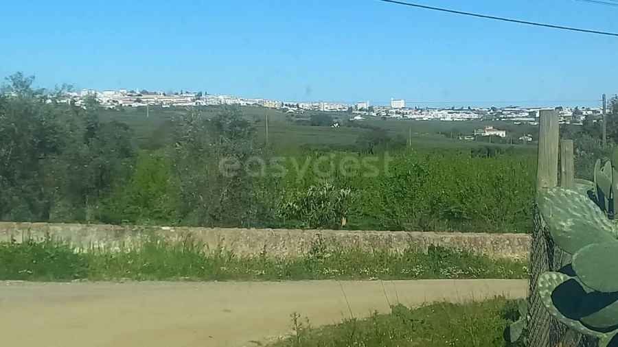 Quinta T2 para Venda em Beja (Santiago Maior e São João Baptista) Foto 24