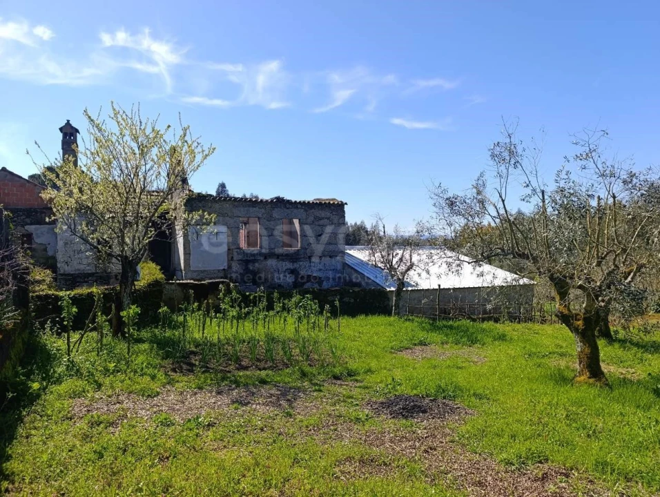 Moradia para Venda em Tabua Foto 3