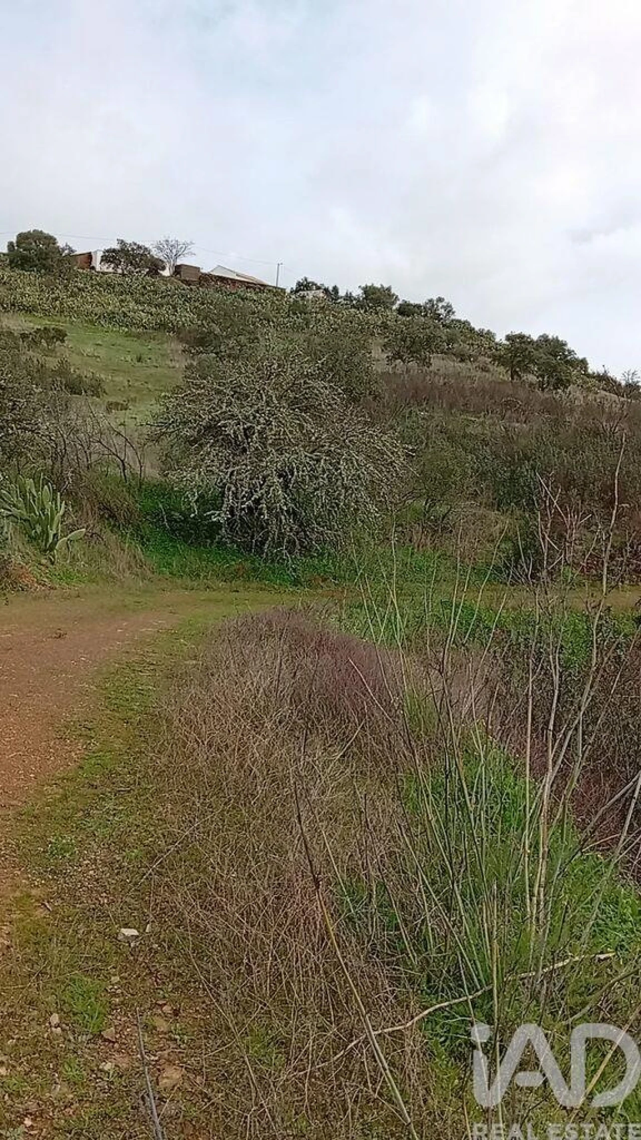 Terreno para Venda em Ameixial Foto 2