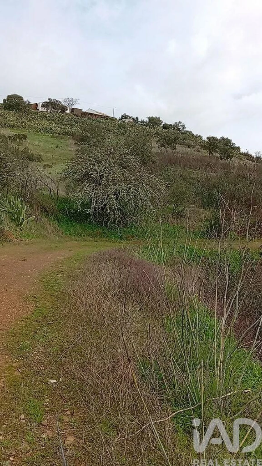 Terreno para Venda em Ameixial Foto 2