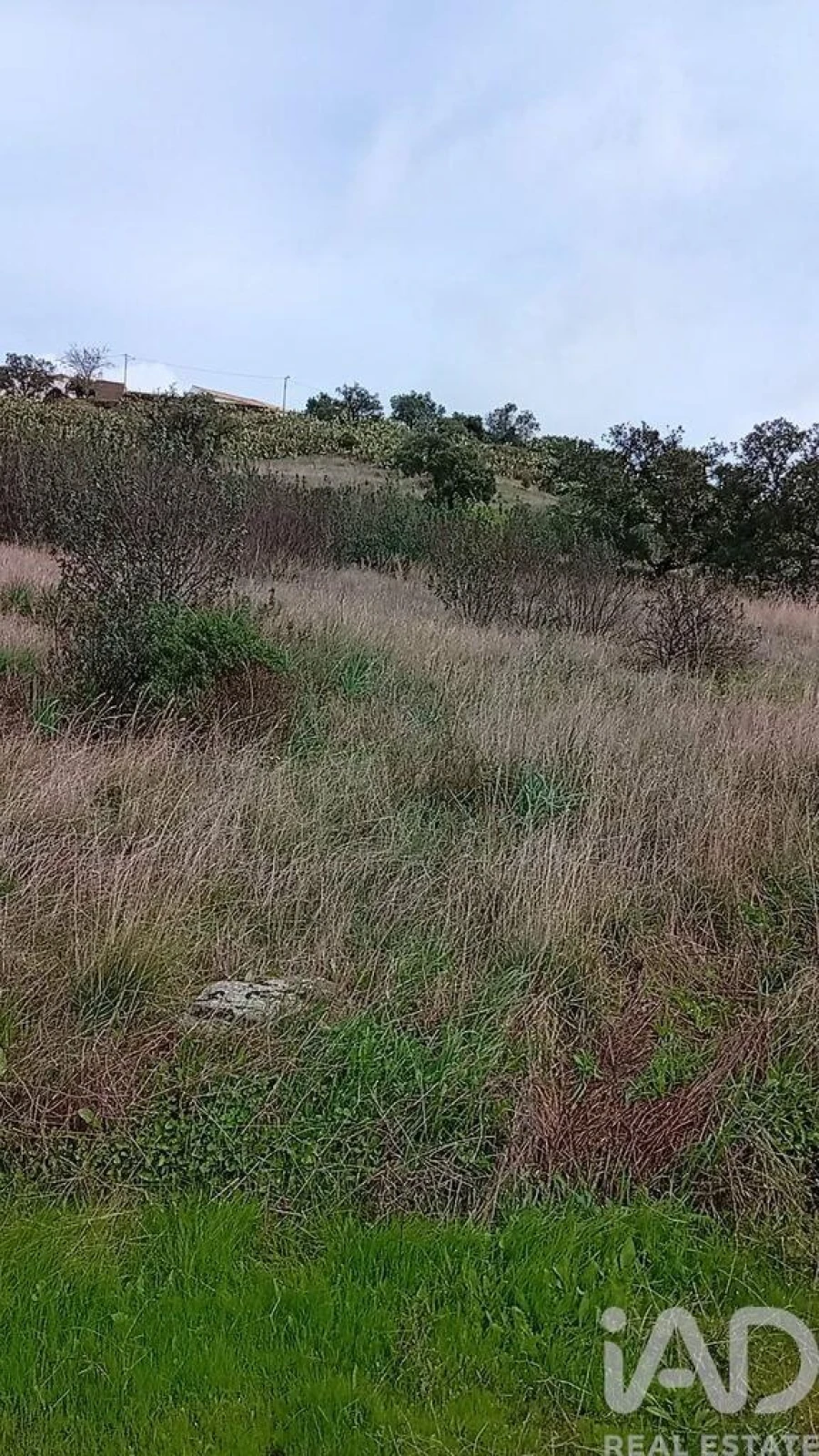 Terreno para Venda em Ameixial Foto 6