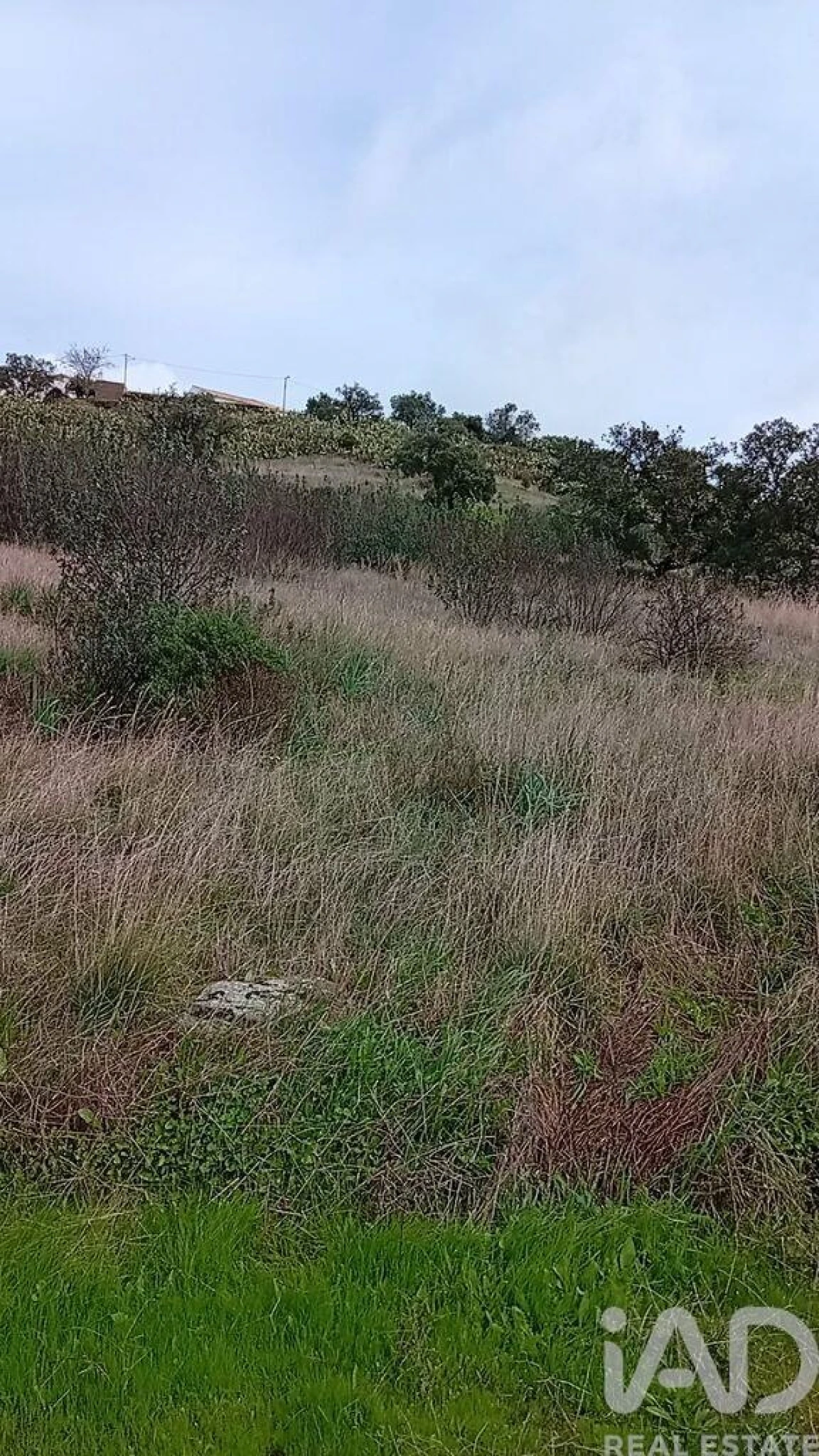 Terreno para Venda em Ameixial Foto 4