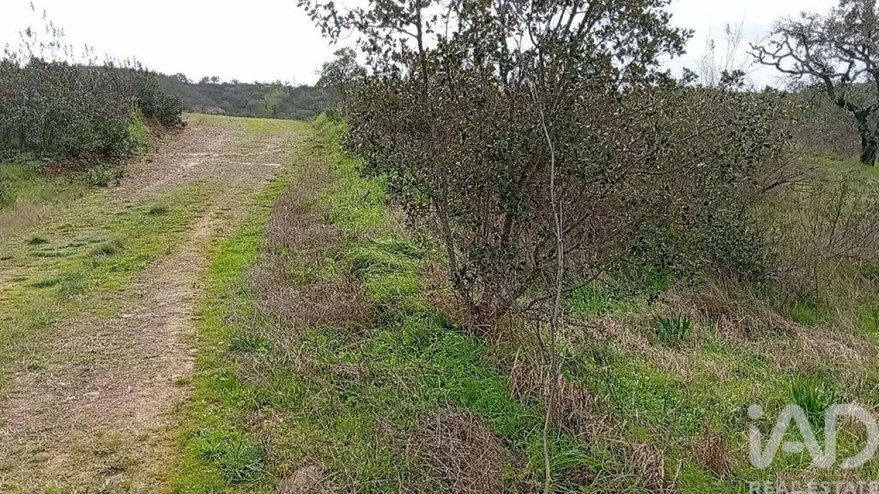 Terreno para Venda em Ameixial Foto 5