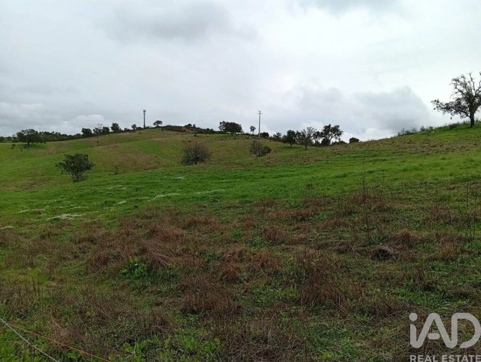 Terreno para Venda em Ameixial Foto 6