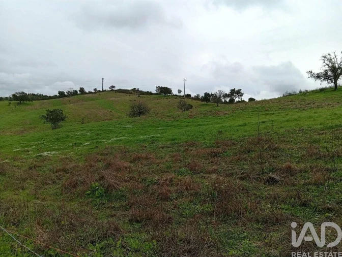 Terreno para Venda em Ameixial Foto 7