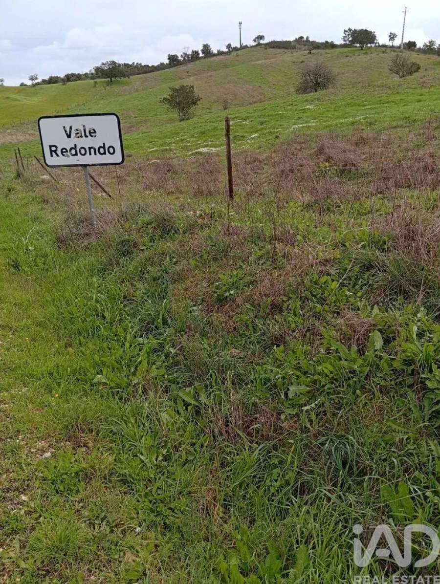 Terreno para Venda em Ameixial Foto 3
