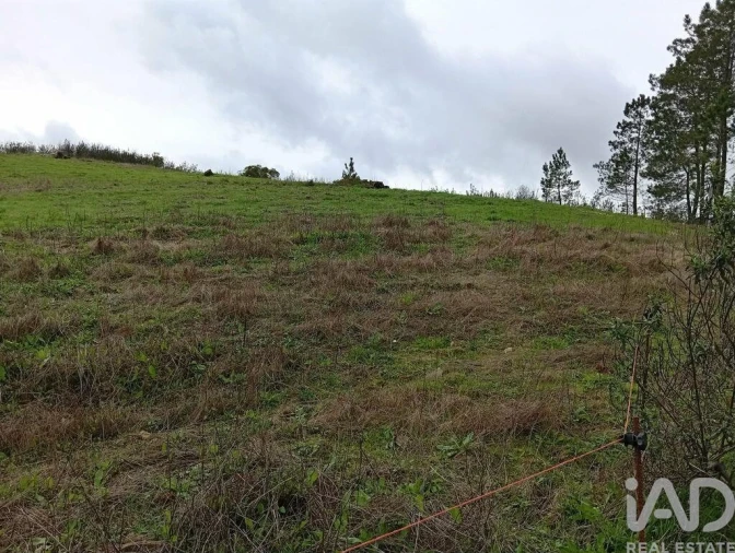 Terreno para Venda em Ameixial Foto 5