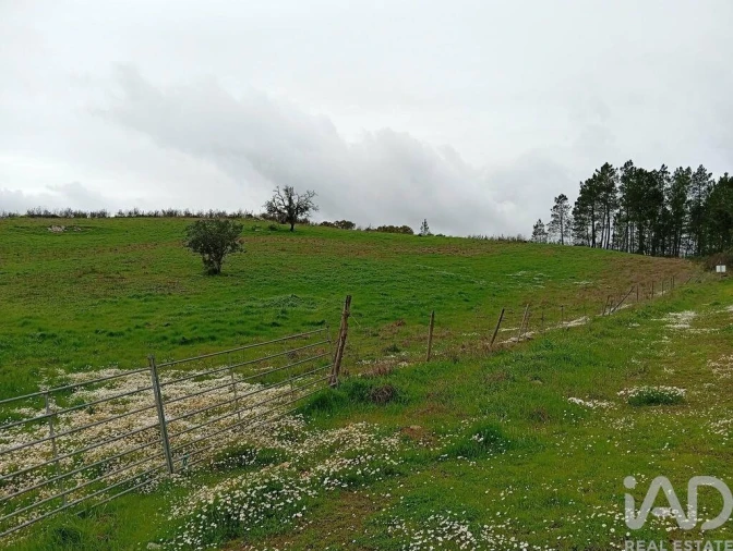 Terreno para Venda em Ameixial Foto 8