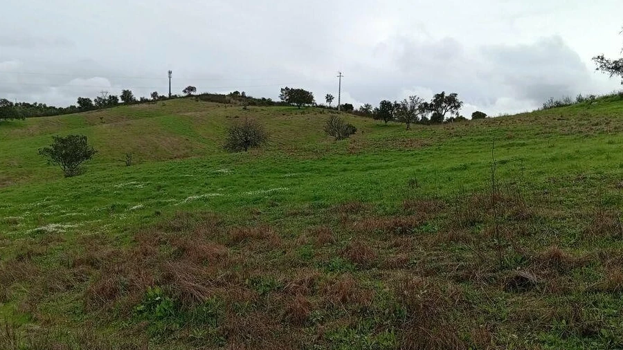 Terreno para Venda em Ameixial