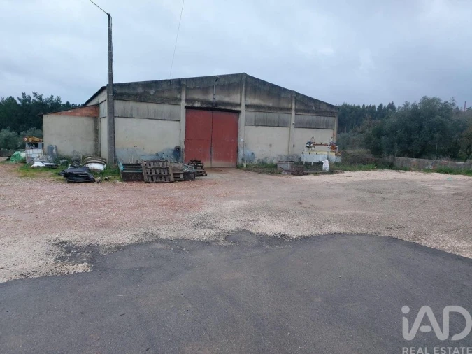 Armazém para Venda em Pedreiras Foto 2