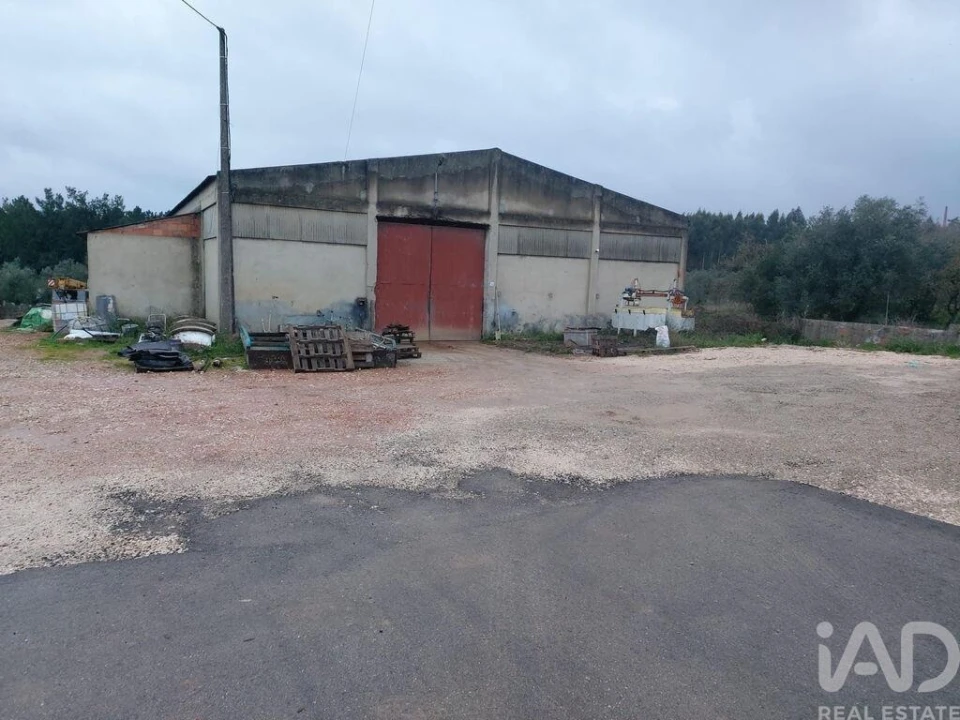 Armazém para Venda em Pedreiras Foto 2