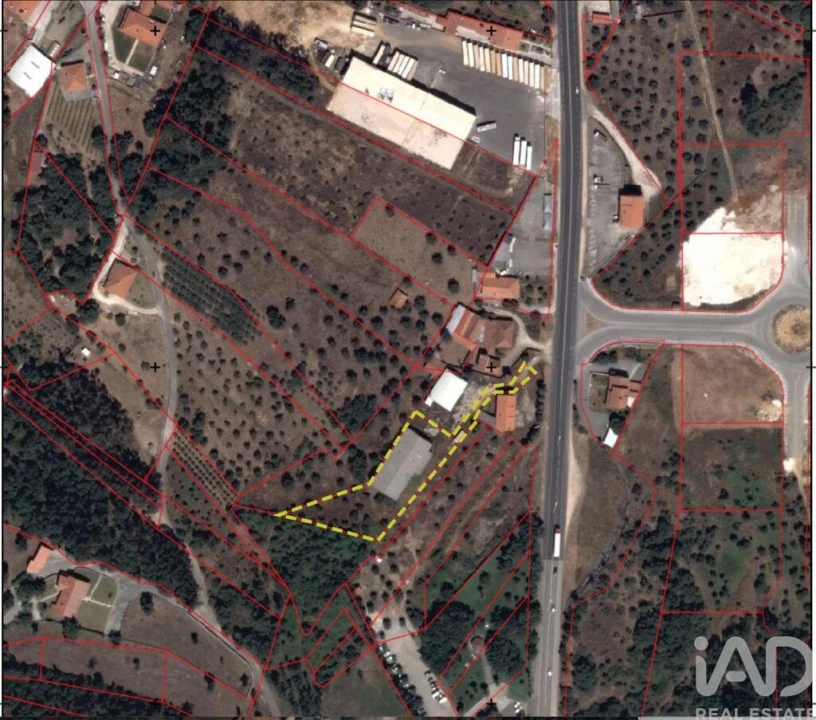 Armazém para Venda em Pedreiras Foto 16