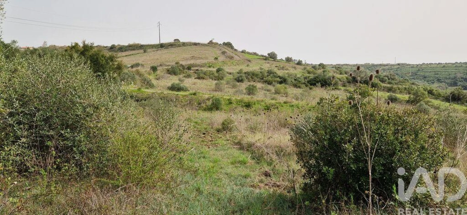 Terreno para Venda em Ericeira Foto 28