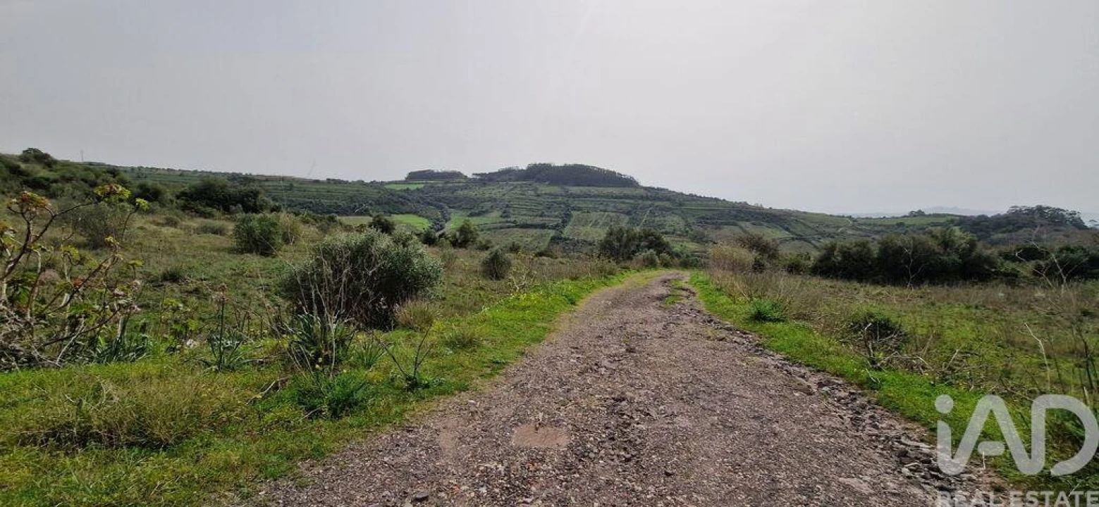 Terreno para Venda em Ericeira Foto 4