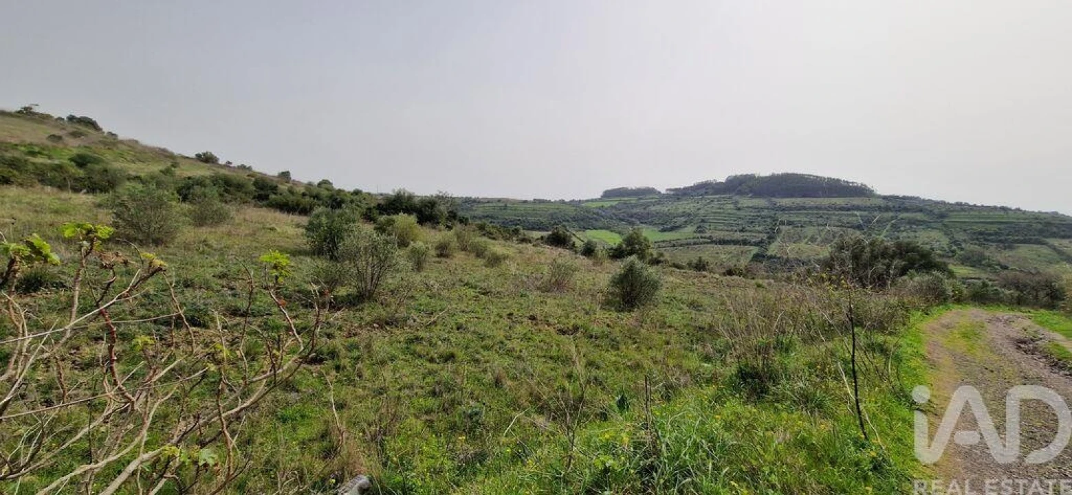 Terreno para Venda em Ericeira Foto 33