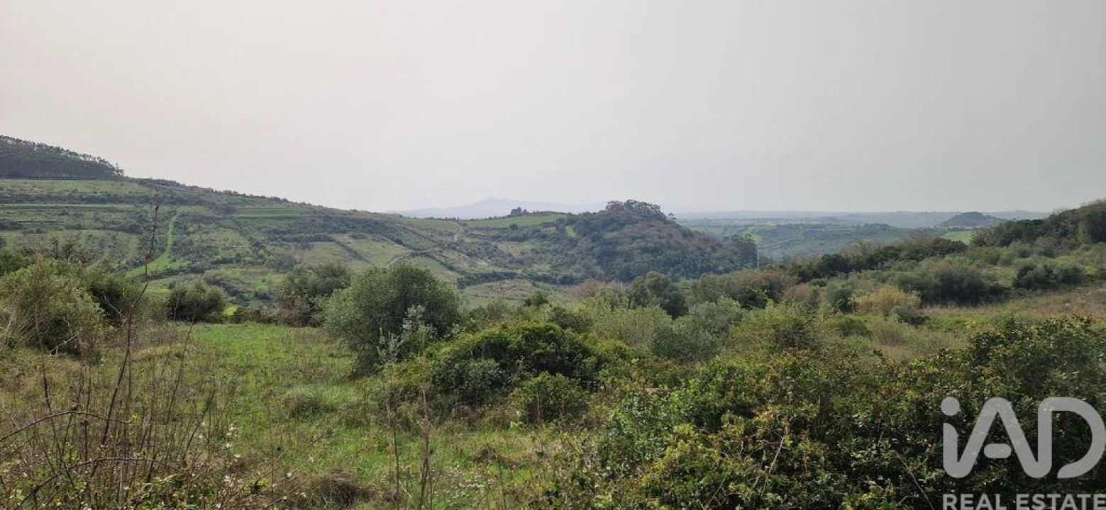 Terreno para Venda em Ericeira Foto 17