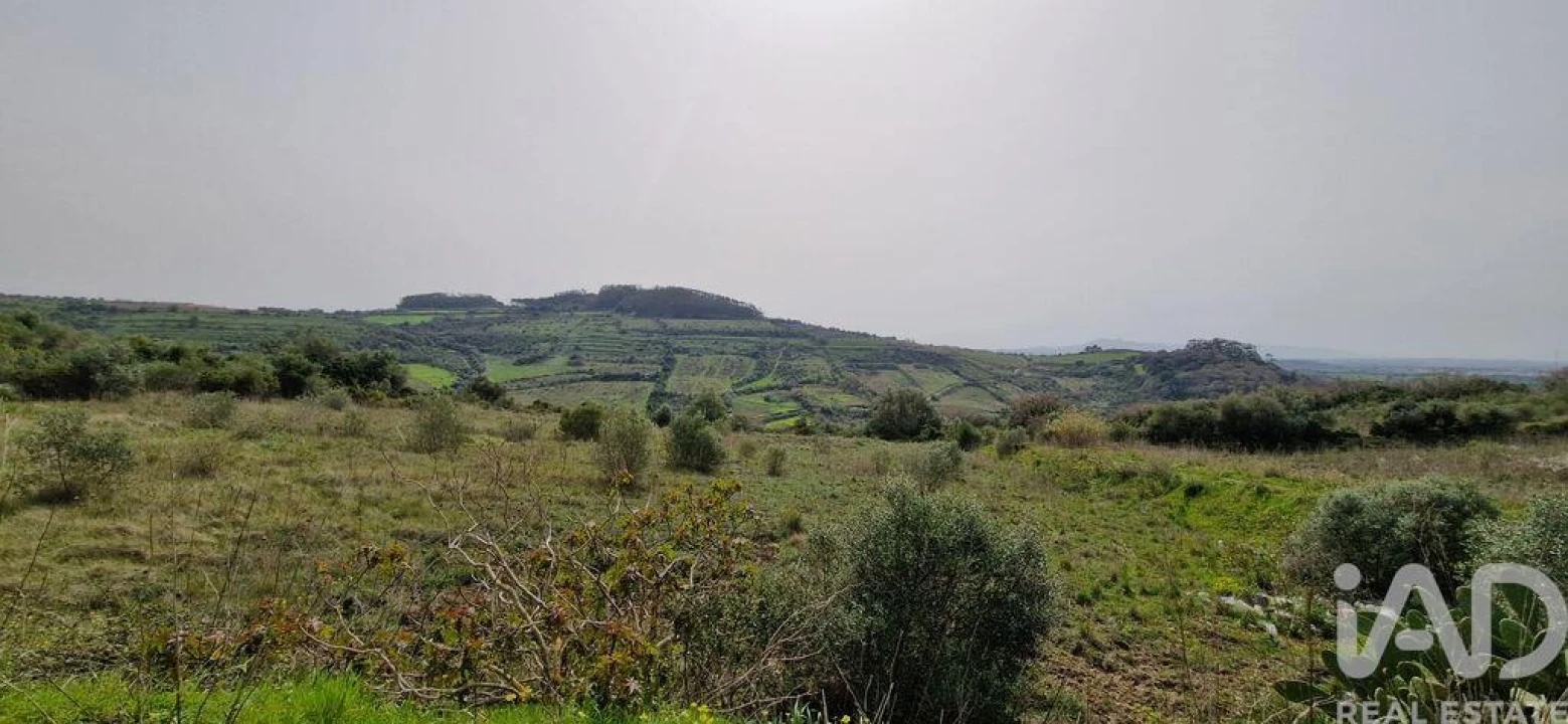 Terreno para Venda em Ericeira Foto 7