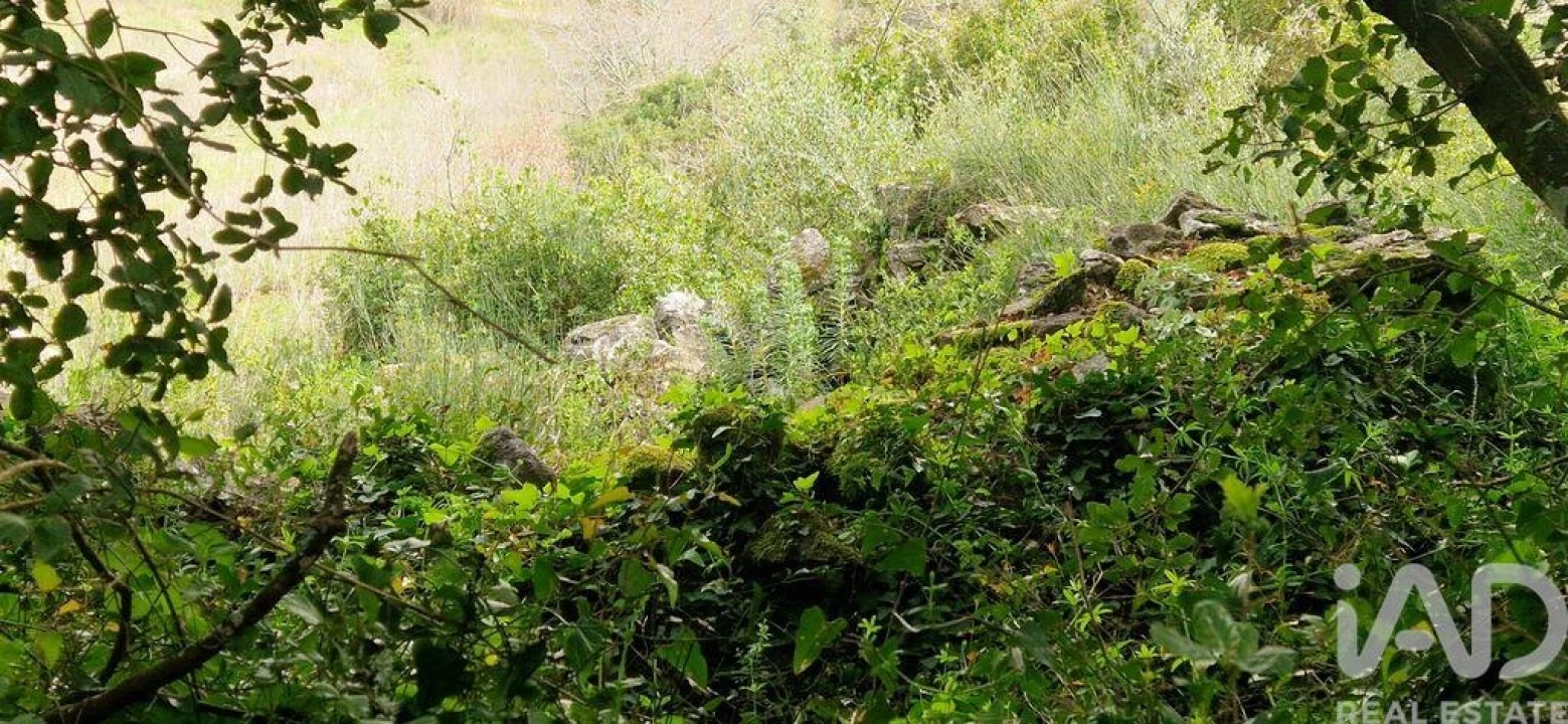 Terreno para Venda em Ericeira Foto 24