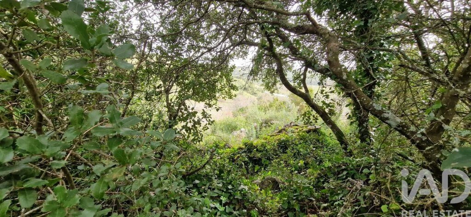 Terreno para Venda em Ericeira Foto 39