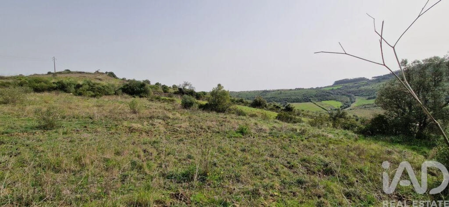 Terreno para Venda em Ericeira Foto 19