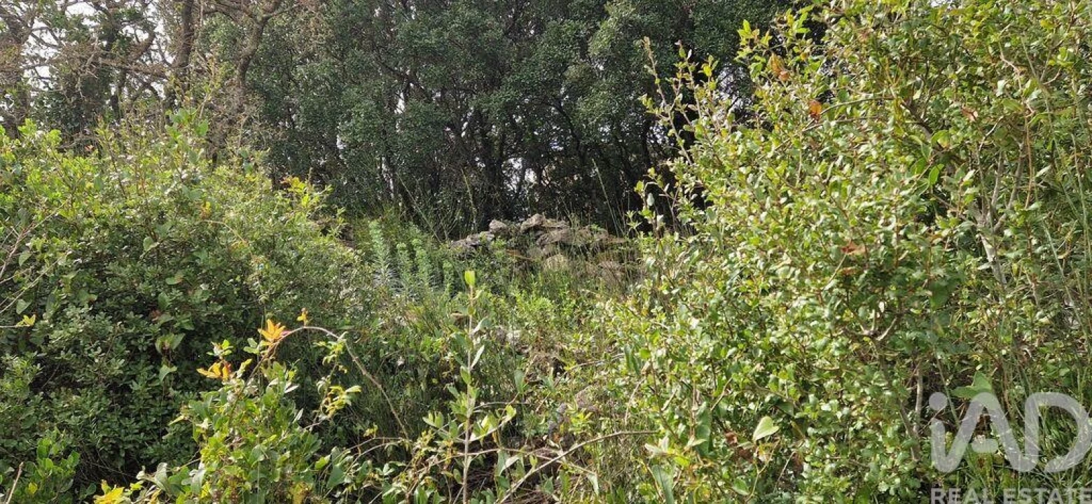 Terreno para Venda em Ericeira Foto 38