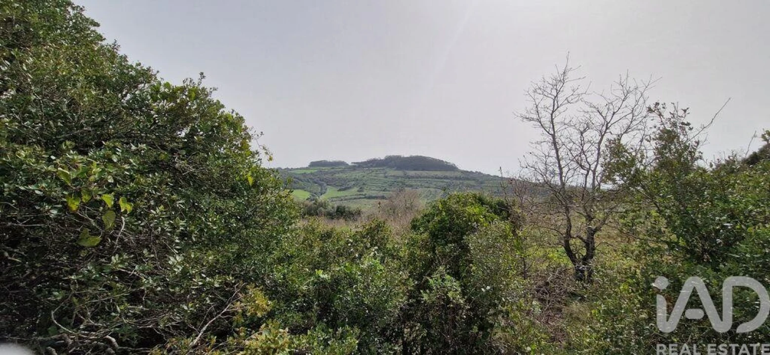 Terreno para Venda em Ericeira Foto 26