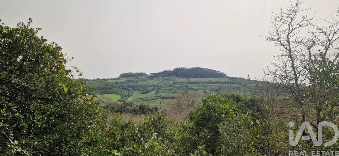 Terreno para Venda em Ericeira Foto 15