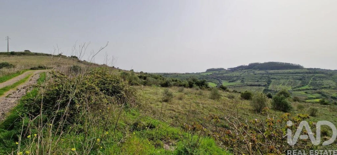 Terreno para Venda em Ericeira Foto 8